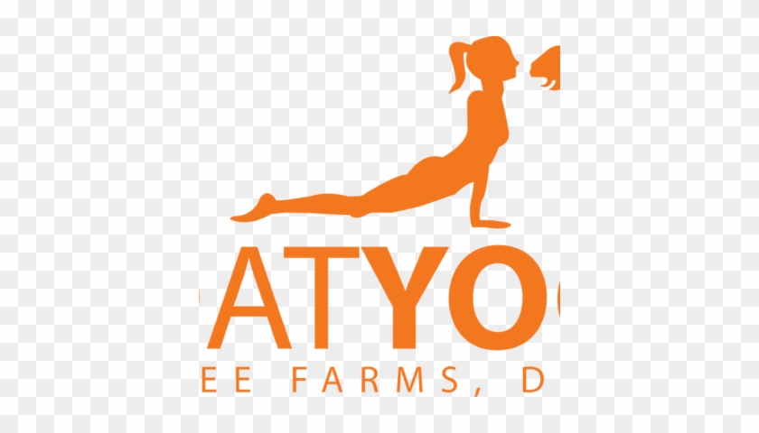 Goat Yoga At Pingree Farms In Detroit, Mi - Goat Yoga At Pingree Farms In Detroit, Mi #65171