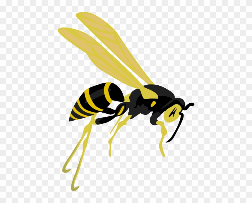 Flying Wasp Clip Art - Wasp Clipart #65454