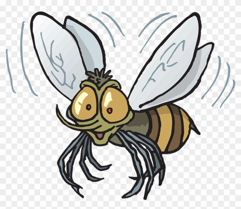Image Of Flying Bee Clipart Fly Bee Vector Clip Art - Insect Flying Clipart #65538