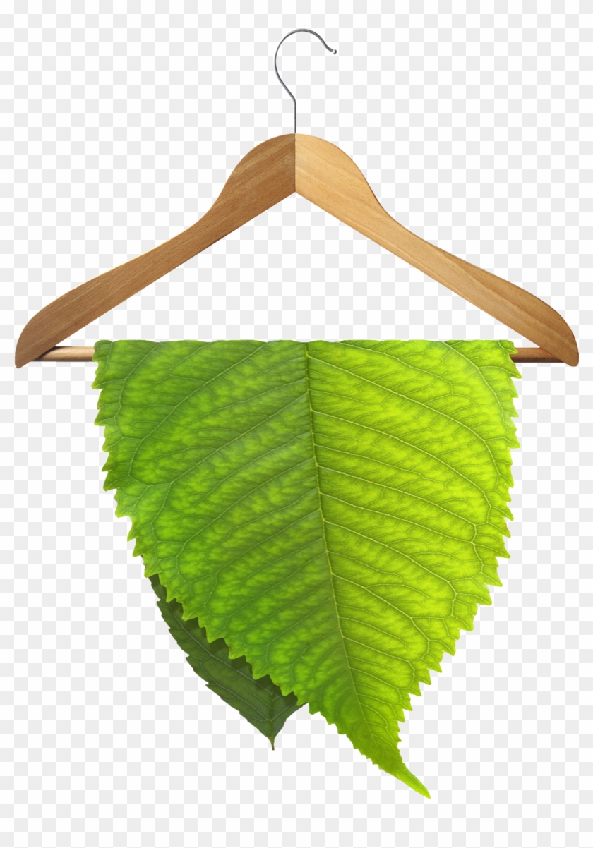 A Tremendous Breakthrough In Dry Cleaning Technology - Eco Friendly Dry Cleaning #65555