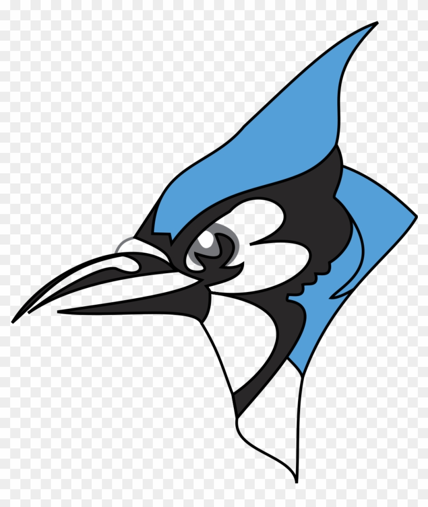 Blue Jay Clipart Head - Johns Hopkins Blue Jay #66491