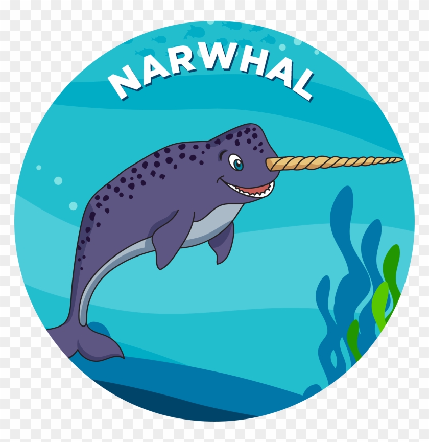 Narwhal - Killer Whale #67599