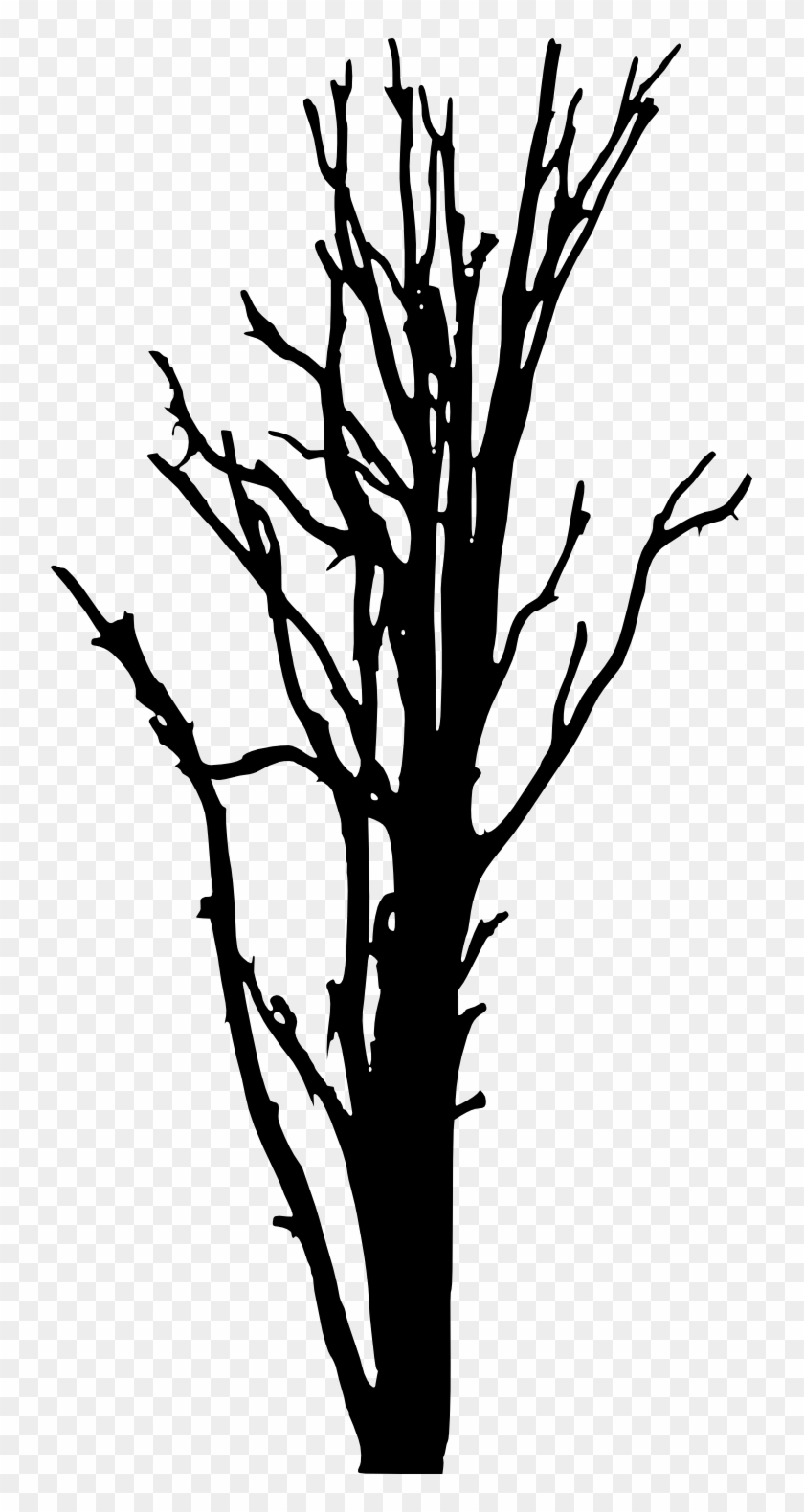 Woody Plant Tree Silhouette Clip Art - Portable Network Graphics #386026
