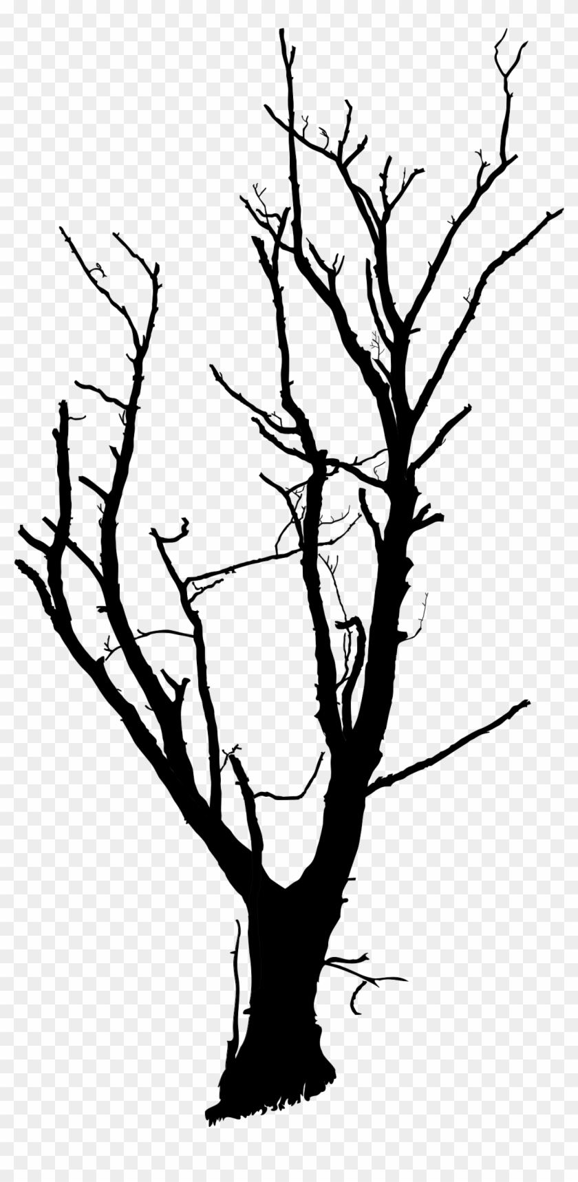 Big Image - Small Dead Tree #386028