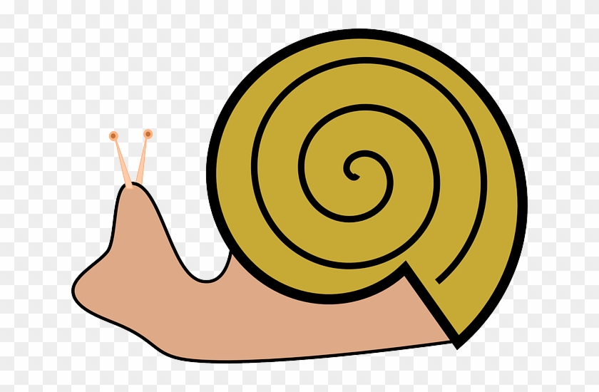 Grapevine Snail, Slug, Snail, Roman Snail - Snails Clipart #386056