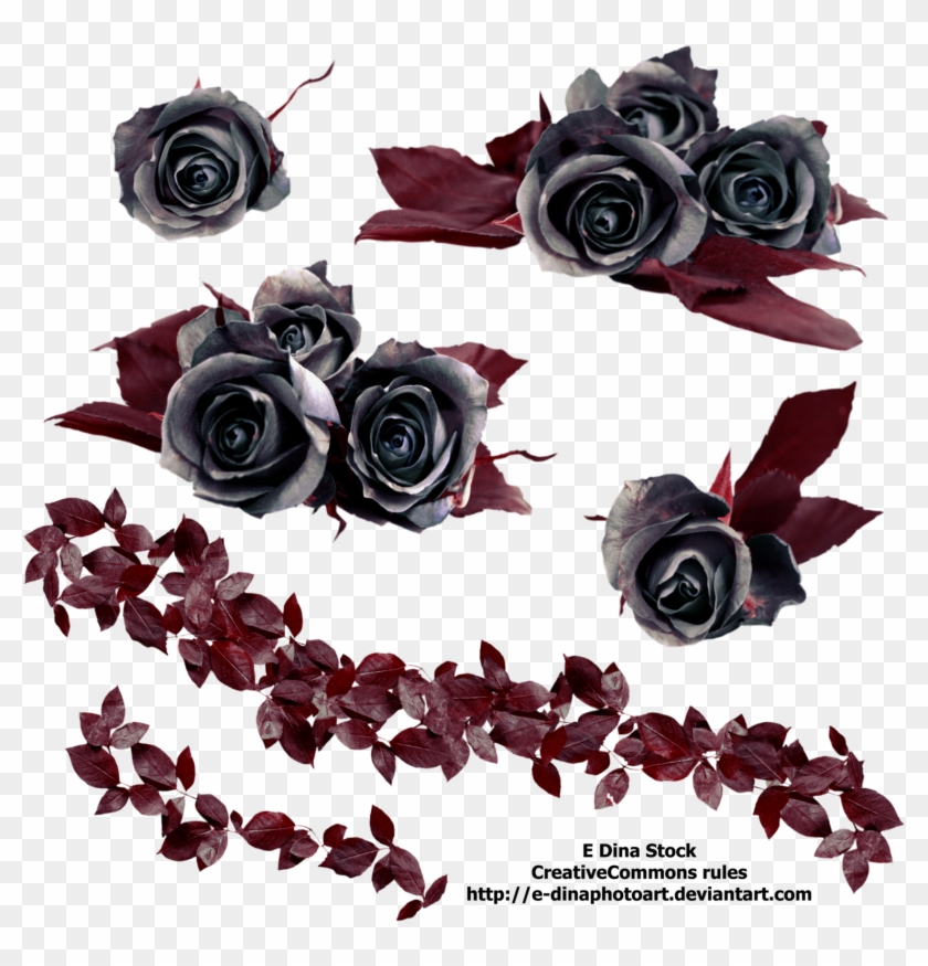 Png Stock Black Roses By E-dinaphotoart - Black Roses Png #386206