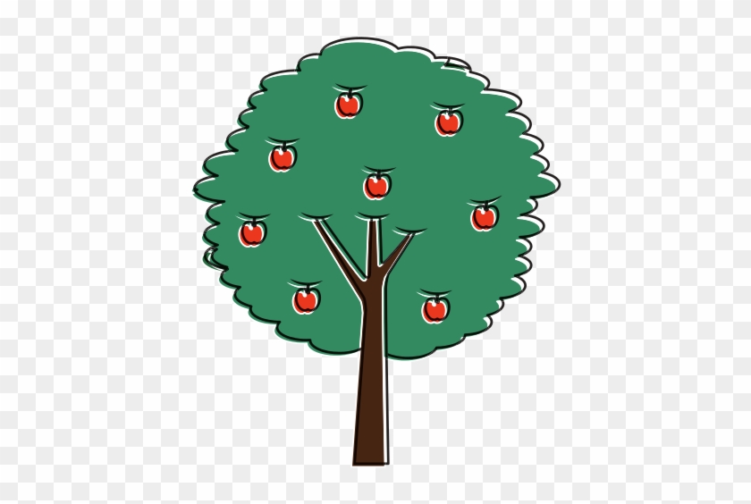 Fruit Apple Tree Agriculture Nature Botanical - Trunk #386244