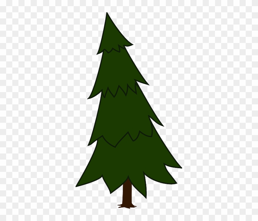 Free Pictures Conifer - Spruce Tree Clip Art #386264