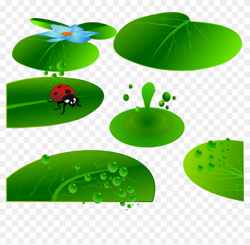 Leaf Insect Cartoon Illustration - Leaf Insect Cartoon Illustration #386491