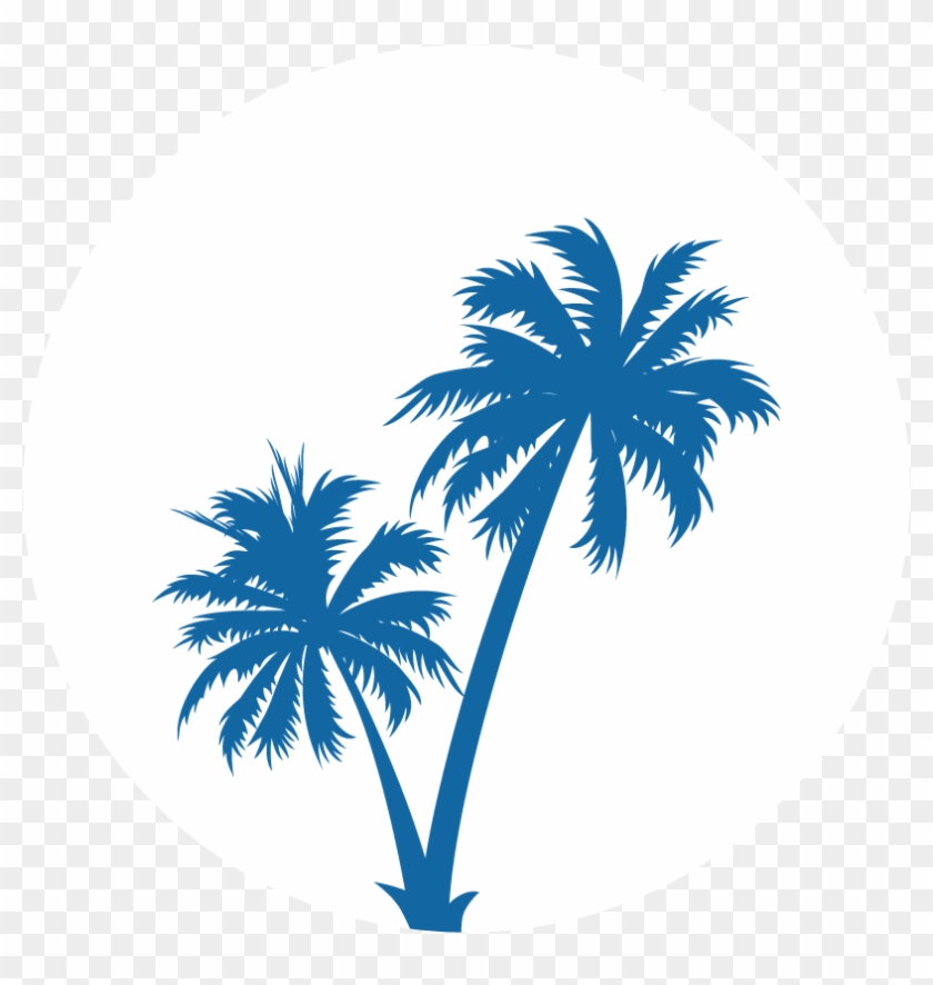Explore More - Palm Tree Black And White #386426