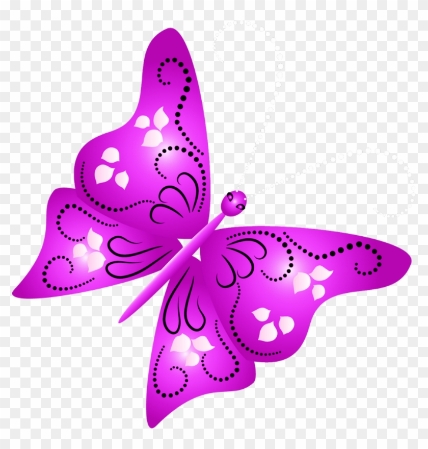 Borboletas & Joaninhas E - Butterfly #386487