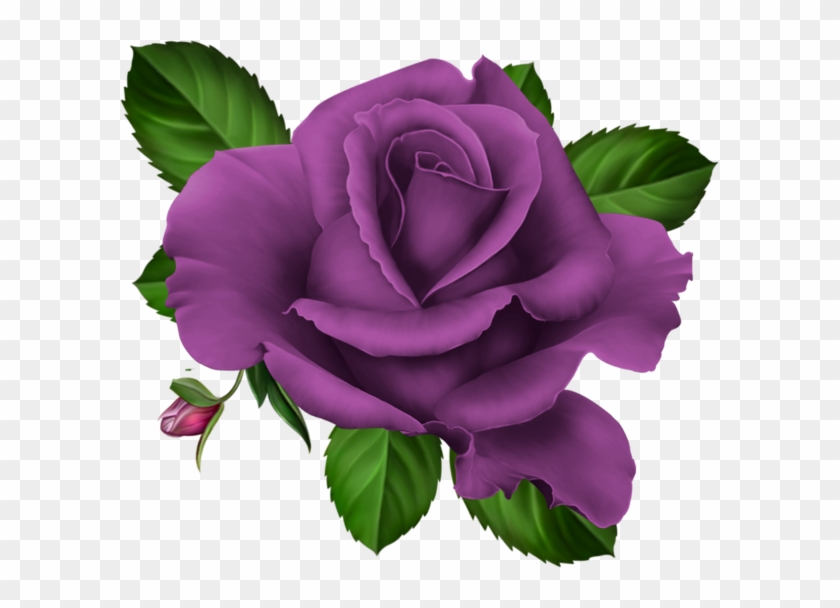 Roses,pink,roze,rosa, - Png Purple Roses #386503
