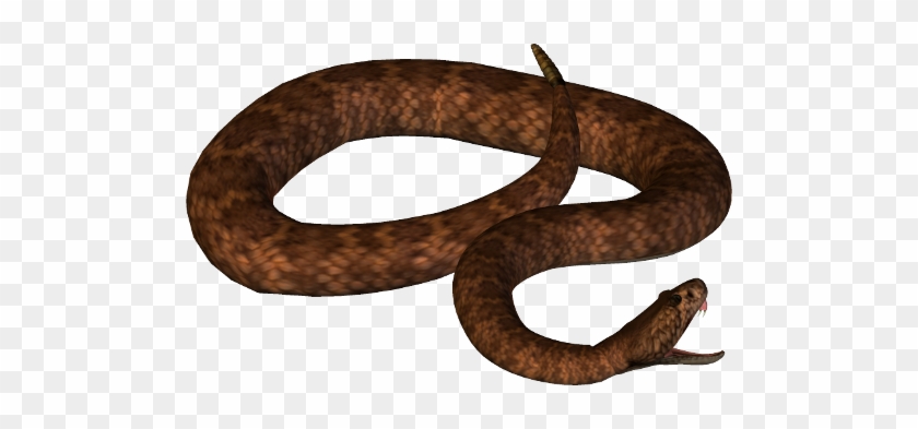 Snake 2 Png By Clipartcotttage - Brown Snake Png #386602