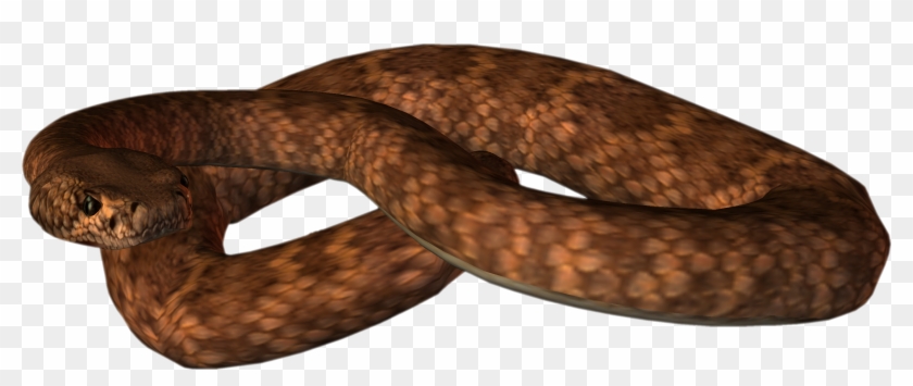 Animated Snake - Brown Snake Clip Art #386603
