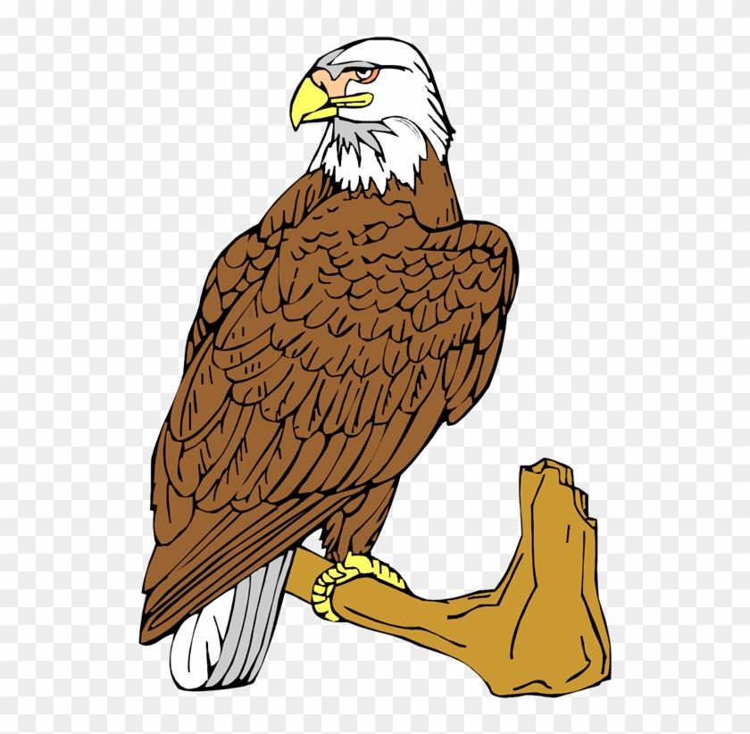 Free Eagle Clipart - Bald Eagle #386610