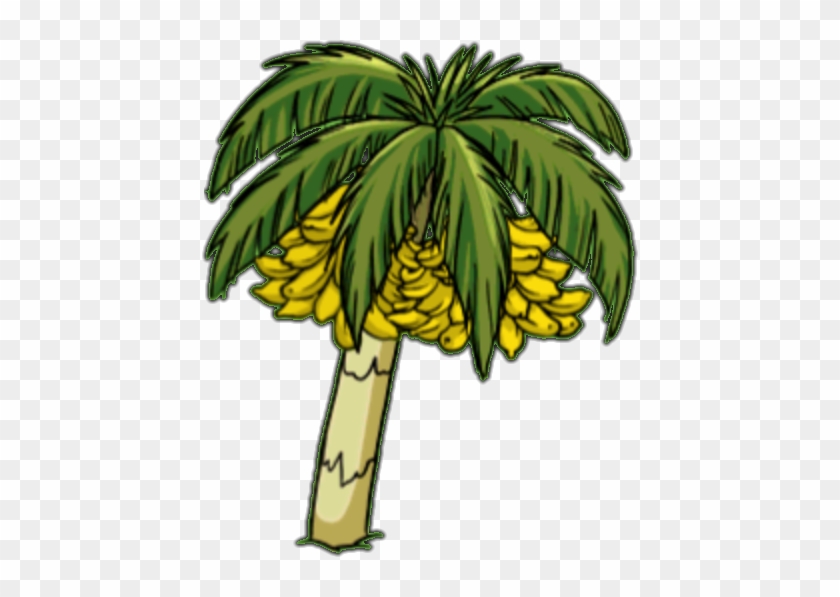 Palm Banana - Banana On Palm Tree #386630