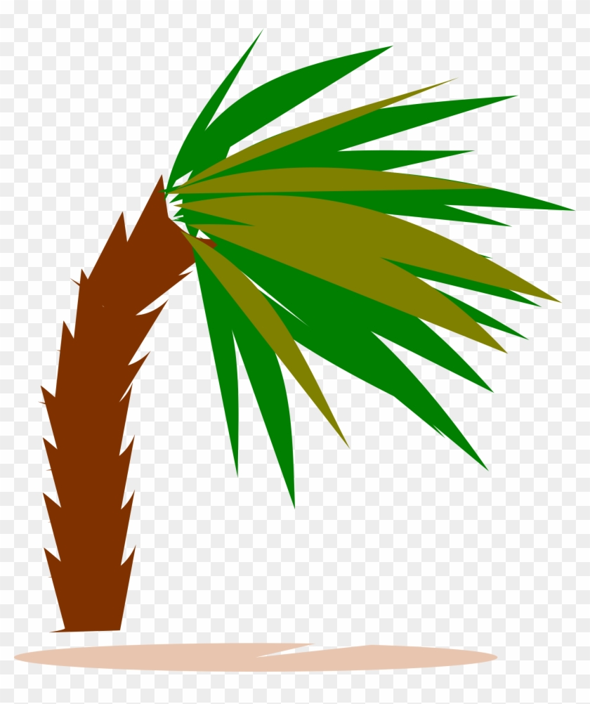 Palm Tree In Heavy Wind Clipart - Clipart Of Wind Palm Trees #386639