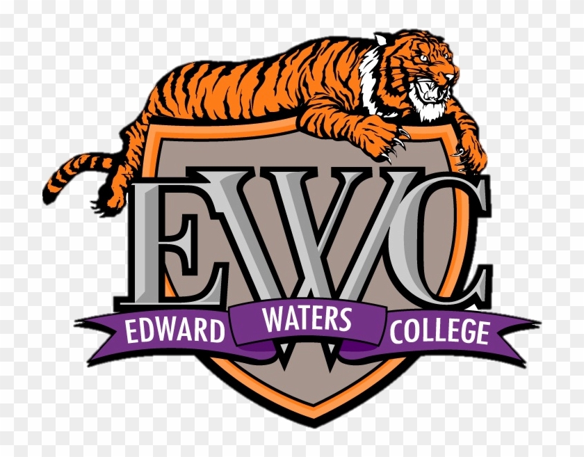 Tiger Nation - Edward Waters College Athletics #386734