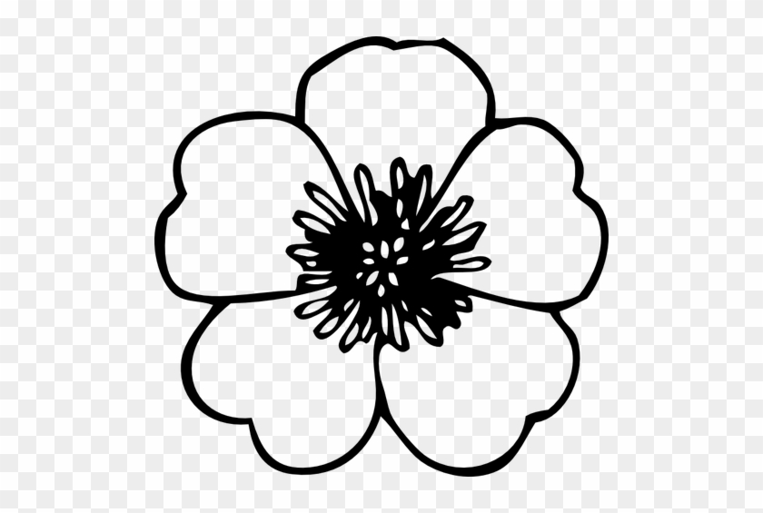 Renoncule Fleur Vector Clipart - Flower Clip Art Free #386970