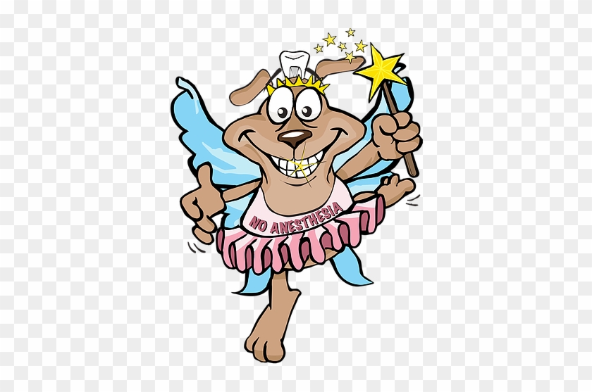 Hours Of Operation - Tooth Fairy For Dogs #387119