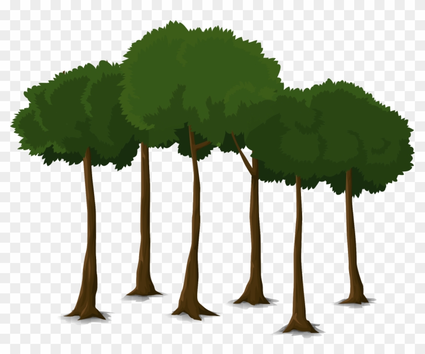 Pin Arbre Clipart Canopy Trees Clipart Free Transparent Png Clipart Images Download