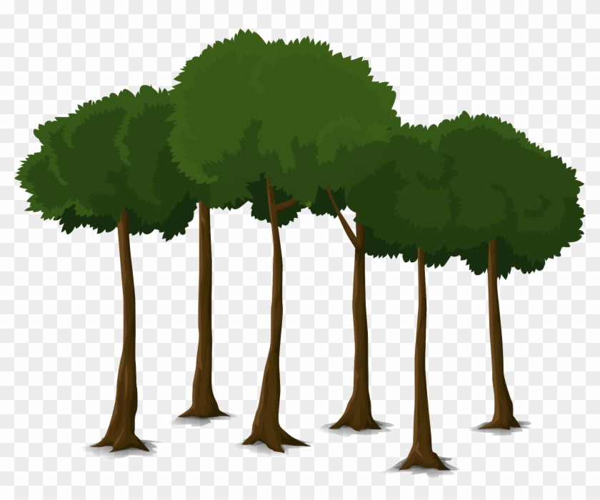 Pin Arbre Clipart - Canopy Trees Clipart #387252