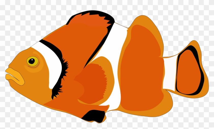 Big Image - Sea Fish Cartoon Png #387268