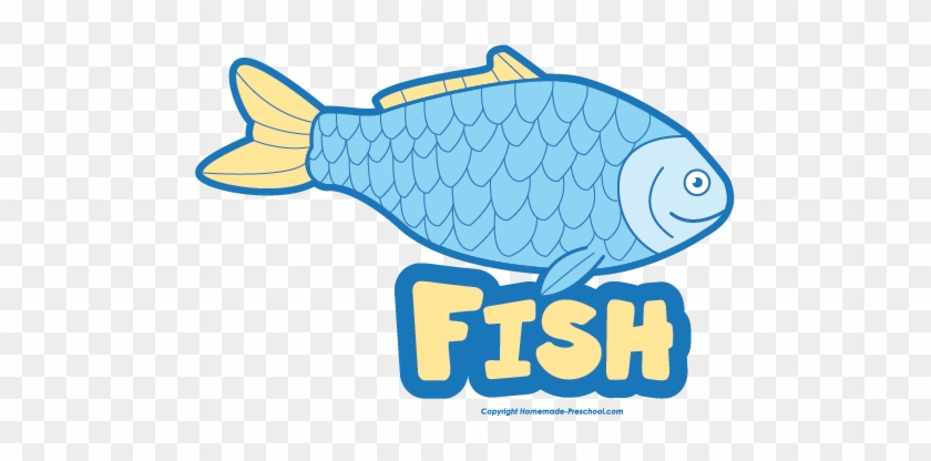 Free Food Groups Clipart Fish With Names - Fish Clipart Name #387390