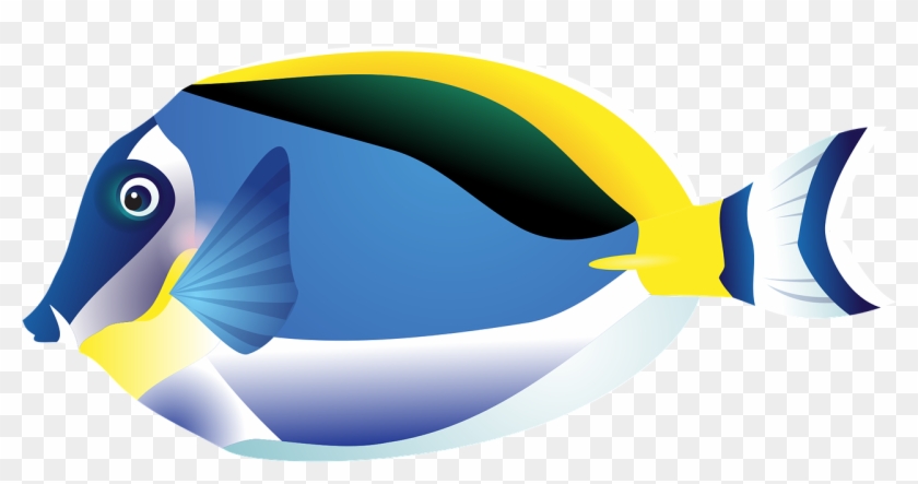 Aquarium Fish Amphiprion Percula Clip Art At Mzayat - Tropical Fish Drawing Png #387436