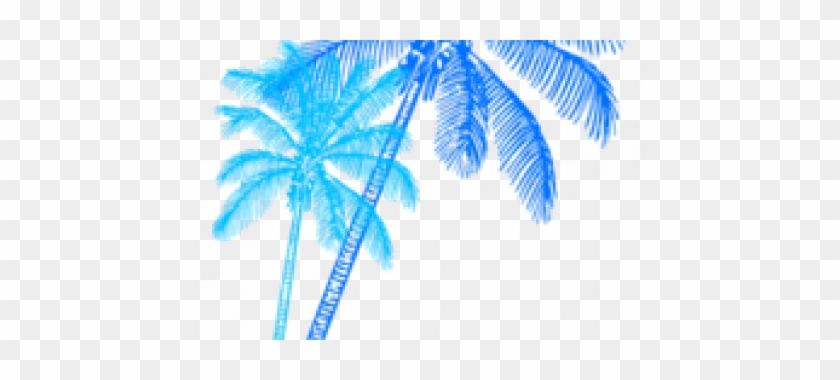Palm Tree Clipart Teal - Uber Decals Vinyl Wall Decal Sticker Coconut Palm Tree #387544
