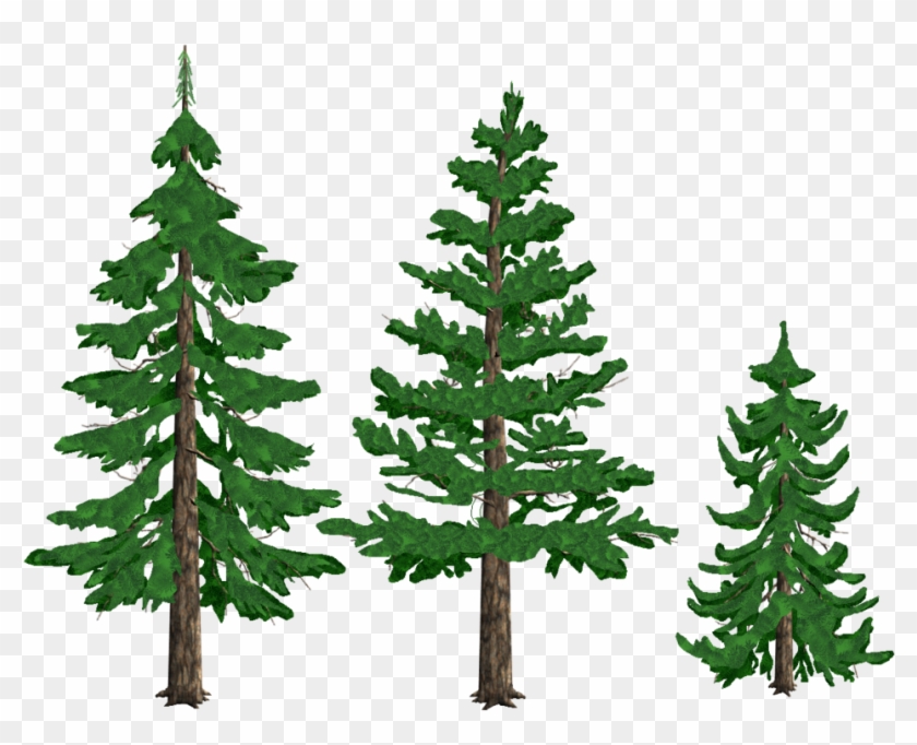 Pine Trees By Tyke44060 On Deviantart - Pine Tree Drawing Png #387597