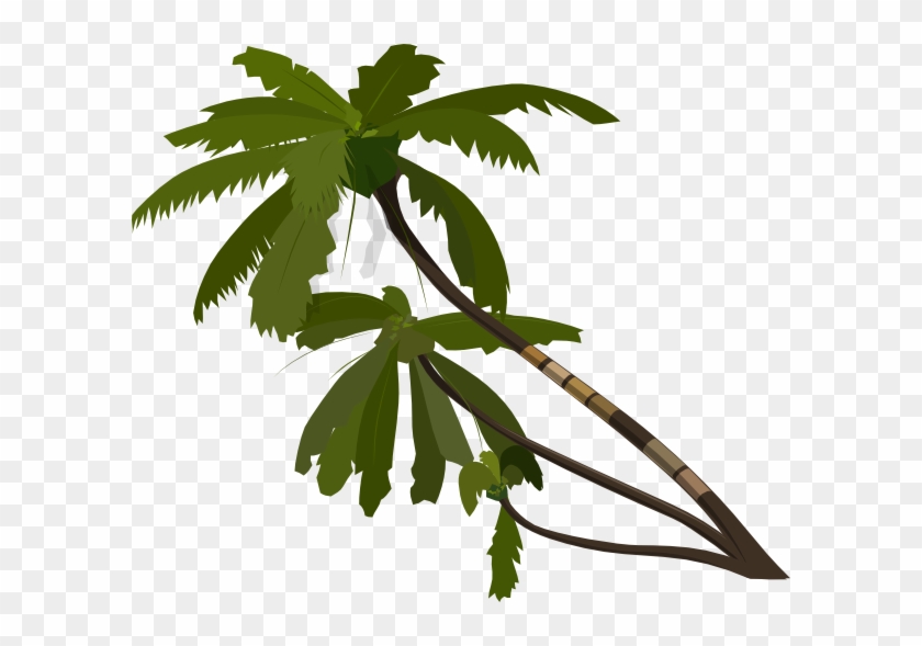 Palm Tree Animation #387605
