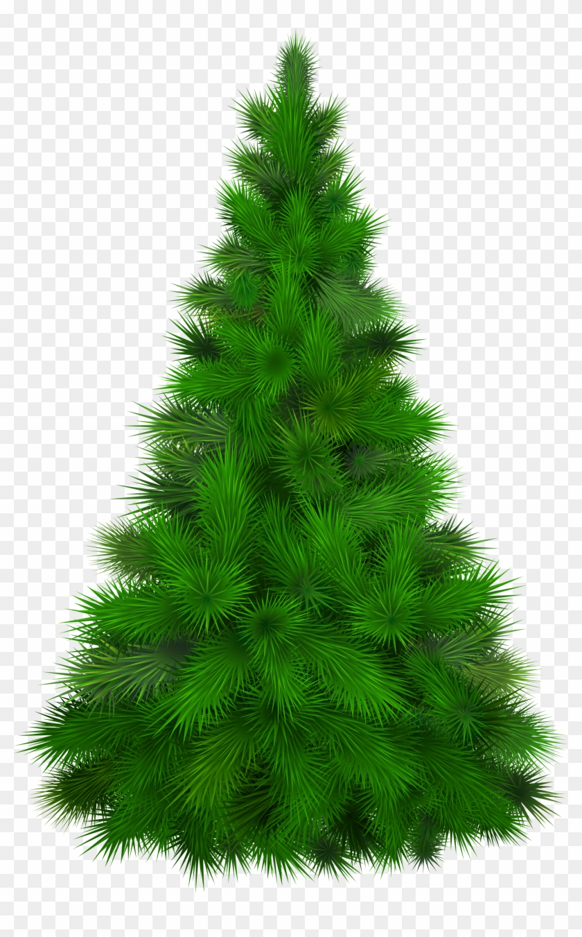 Green Pine Tree Png Clip Art - Pine Tree Clipart Png #387629