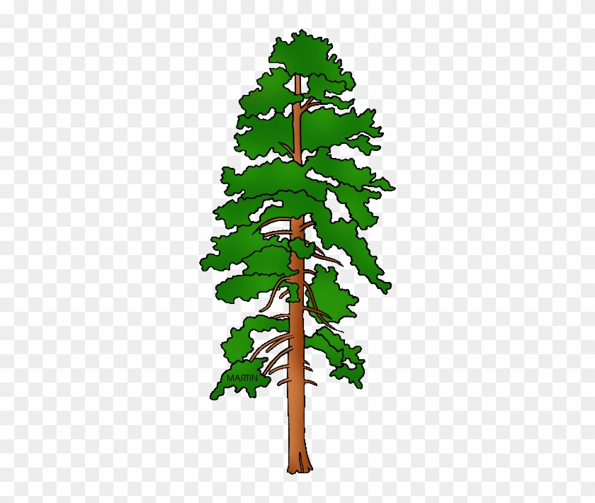 United States Clip Art By Phillip Martin, State Tree - Fallen Tree On House Clipart #387694