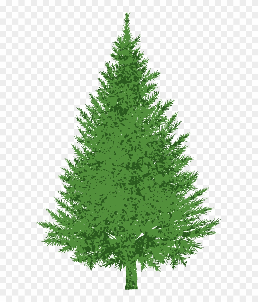 Buncee Evergreen - Evergreen Tree Clip Art #387953