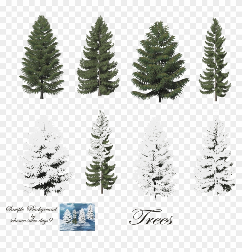 Fir-tree - Trees With Snow Photoshop #387956