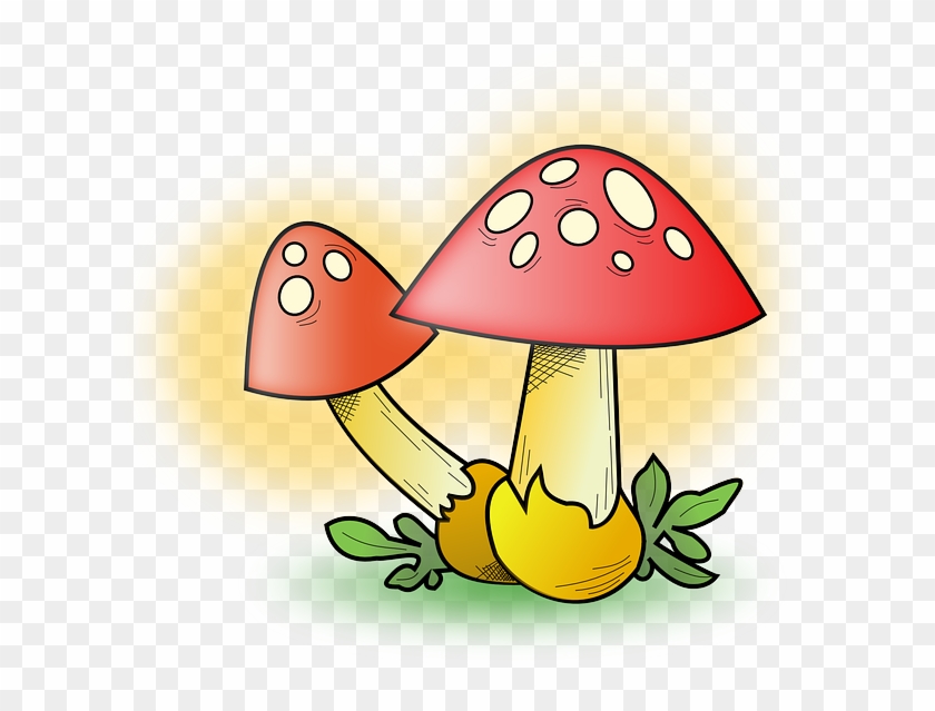 Food, Drawing, Mushroom, Cartoon, Free, Plant - Cute Mushrooms Yard Sign #388082