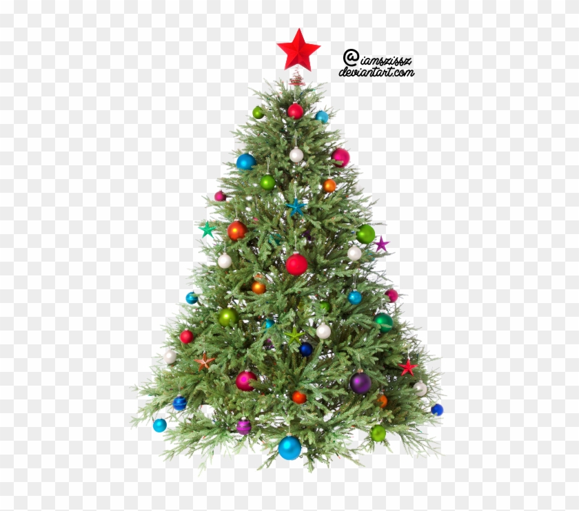 Christmas - Christmas Tree Png Transparent #388108