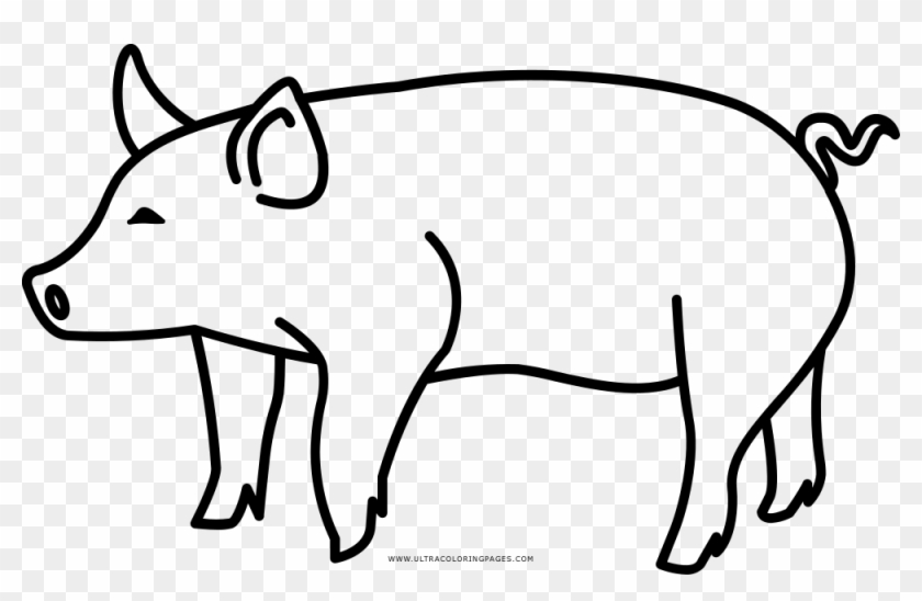 Pig Coloring Page - Drawing #388350