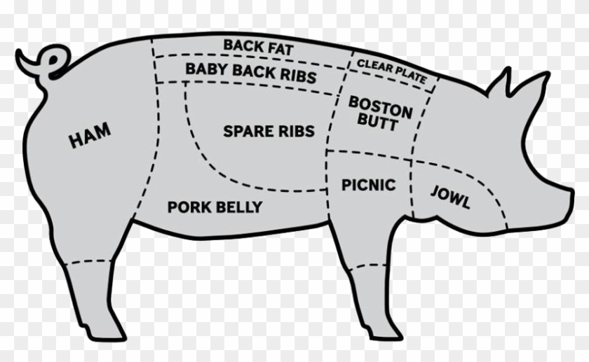 17992153 1546551875363624 2913530434281158097 N - Pig #388361