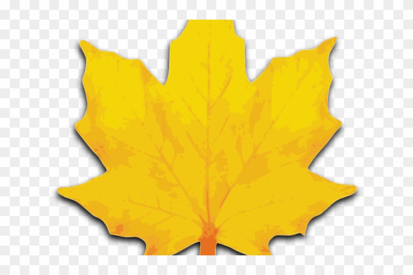 Maple Leaf Clipart Big Leaf - Maple Leaf Clip Art #388424