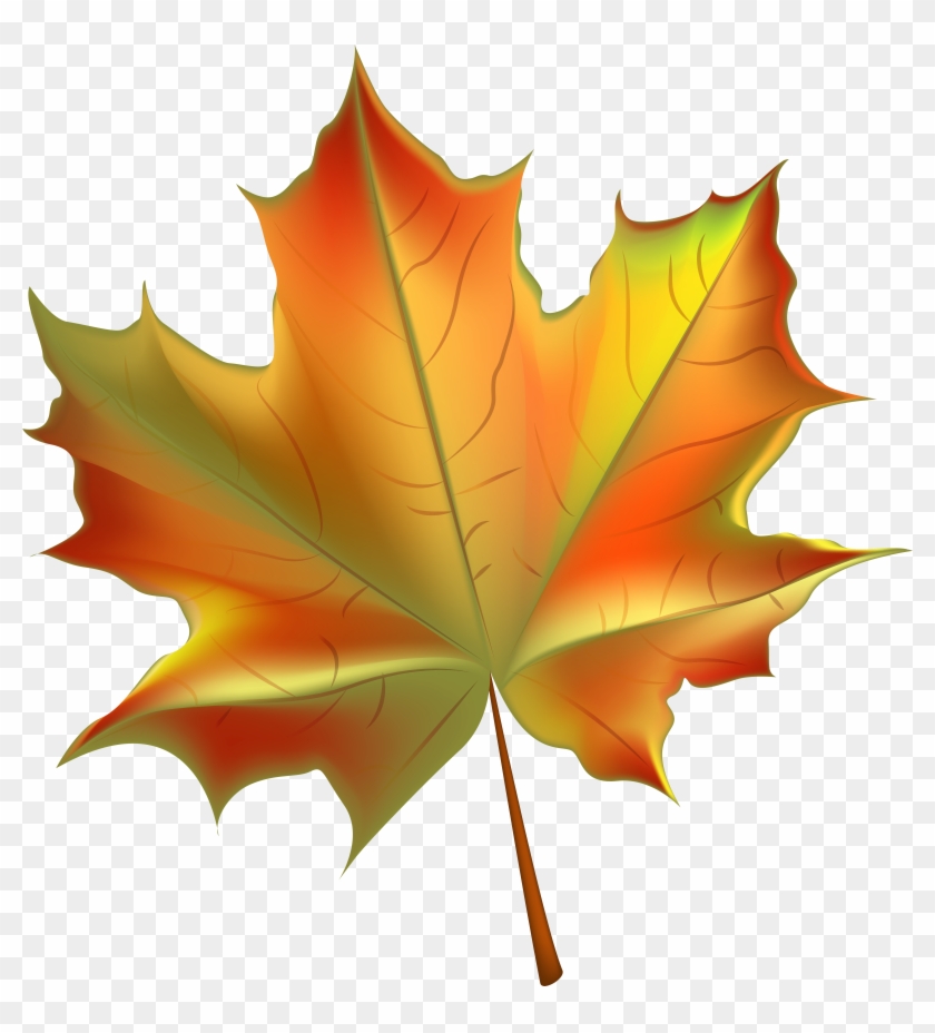 Maple Leaf Clipart Transparent - Clip Art Autumn Leaf #388445