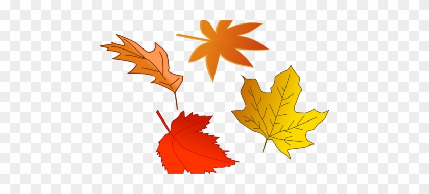 Fall Leaves Clip Art Transparent Background - Autumn #388450