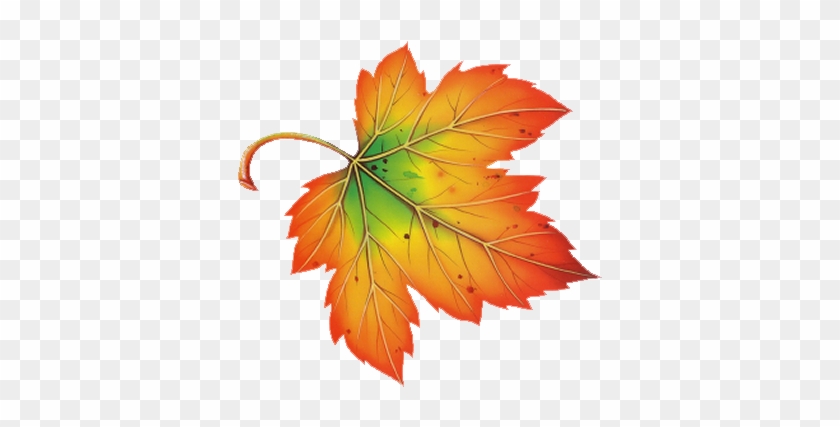 Картинки По Запросу Лист Дуба С Желудями - Fall Leaf Clip Art #388468