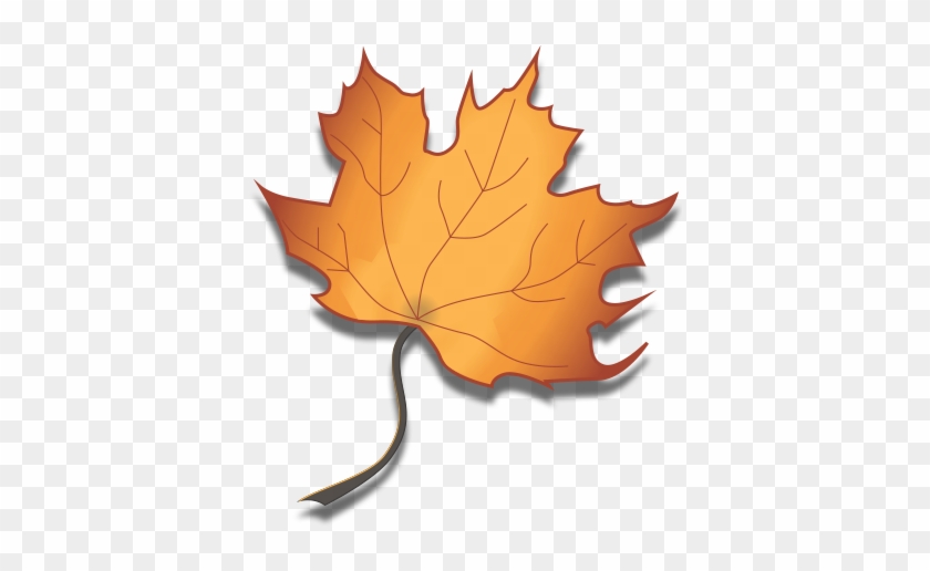 Maple Leaf Clipart Maple Syrup - Maple Leaf Syrup Drip #388534