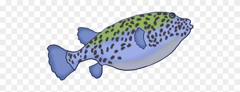 Realistic Fish Clipart - Realistic Fish Clipart #388658