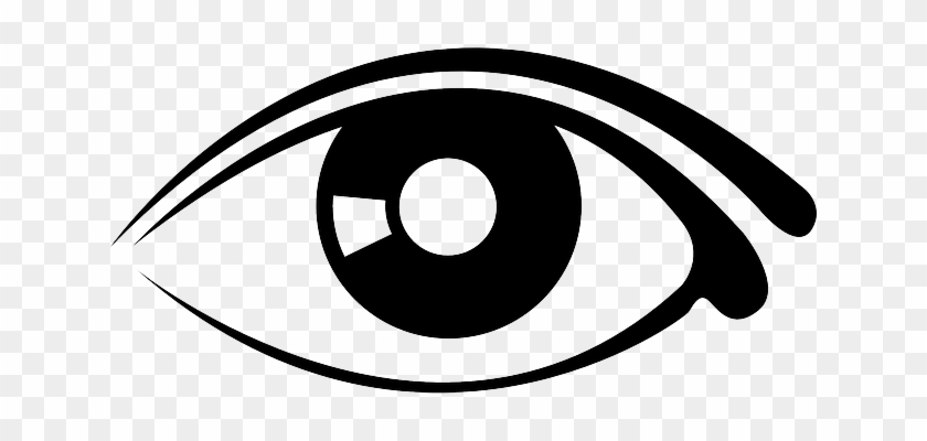 Eyes, Eye, Part, Human, Cartoon, Eyeball, Free, Body - Eye Graphic #388690