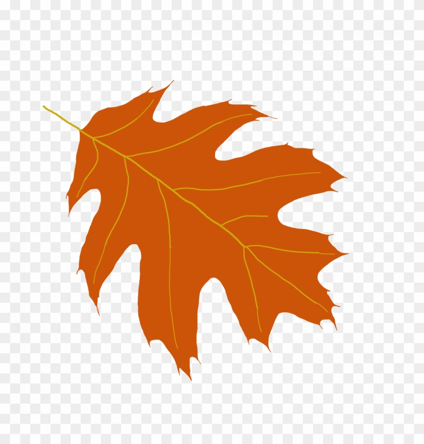 Picture Of Oak Leaves Clipartsco, Yellow Oak Leaf Clip - Oak #388700