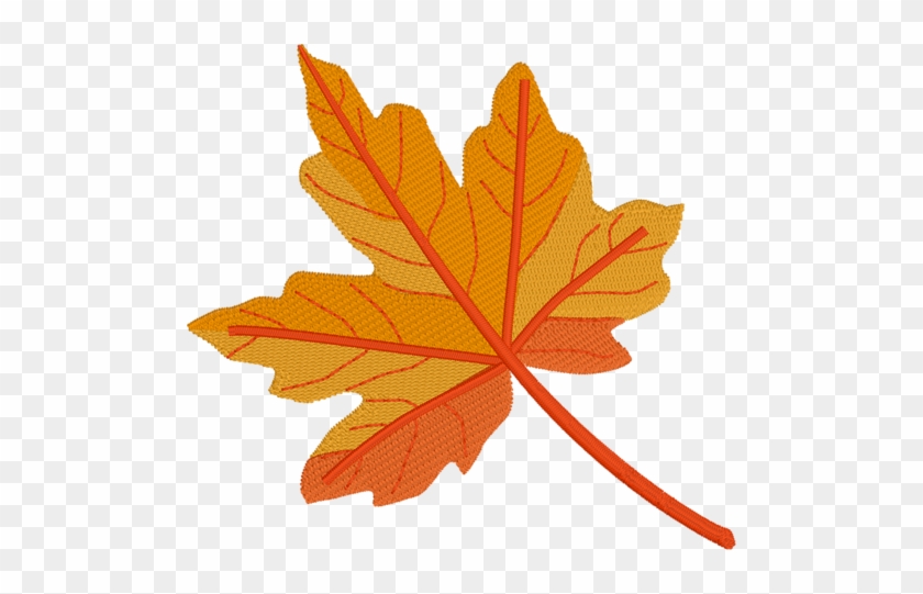 Maple Leaf - Large - 3 Tone - Maple Leaf #388724