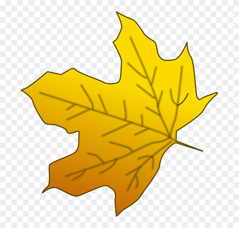 Yellow Maple Leaf Clipart #388737